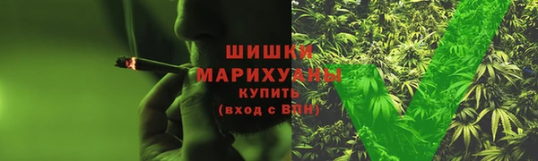 гидра Лагань