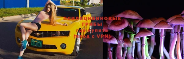спиды Лиски