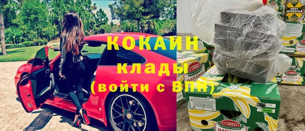 гидра Лагань