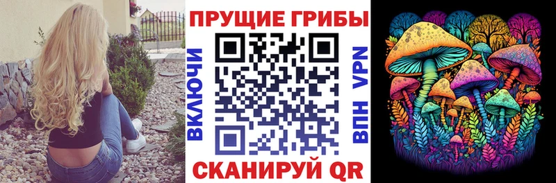 Купить закладки Мурино Галлюциногенные грибы Magic Shrooms